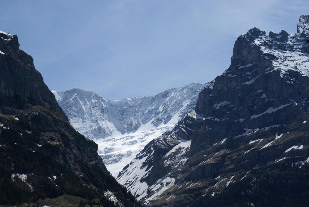 2-Star Griwarent Apartments Grindelwald Ruang foto