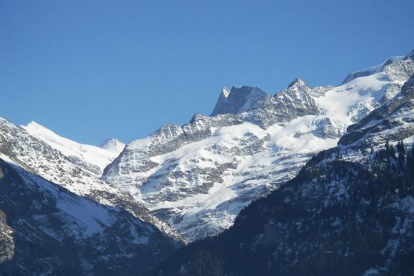2-Star Griwarent Apartments Grindelwald Ruang foto